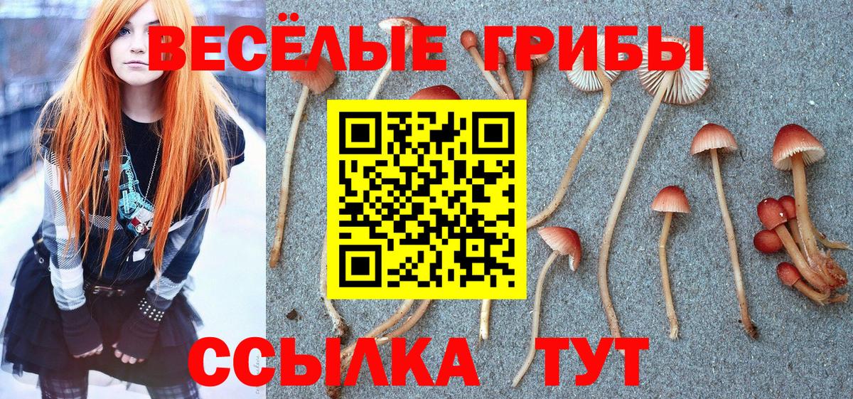 Ачхой-Мартан  Галлюциногенные грибы Magic Shrooms  Вход с VPN  Галлюциногенные грибы Cubensis 